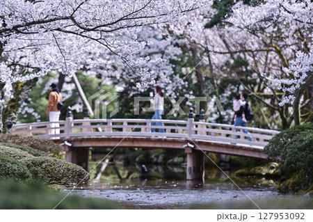 桜が美しい兼六園の春 127953092