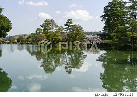 桜が美しい兼六園の春 127953113