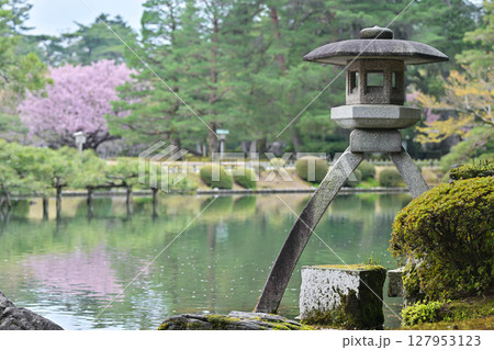 桜が美しい兼六園の春 127953123