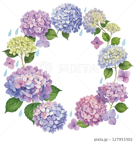 水彩風のあじさいフレーム 127953302