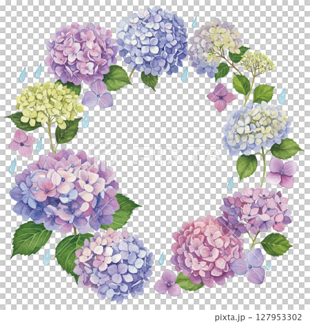 水彩風のあじさいフレーム 127953302