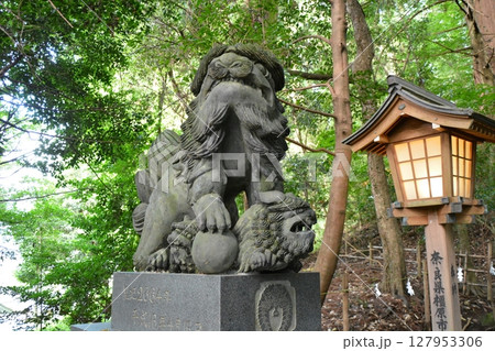 高千穂峡の大自然に掛かる橋 127953306