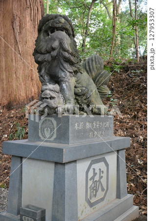 高千穂峡の大自然に掛かる橋 127953307