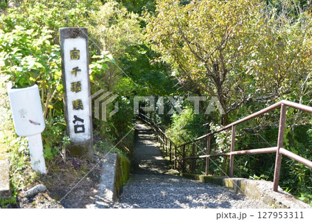 高千穂峡の大自然に掛かる橋 高千穂峡の大自然に掛かる橋 127953311