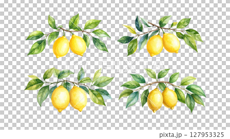 Fresh lemon slices in juice. Healthy organic citrus fruit rich in vitamin C isolated on white background 127953325