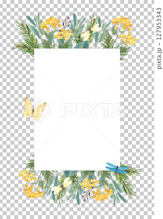 Botanical watercolor oval frame isolated on white. Herbs, berries, flowers, dragonflies, butterflies. Rustic natural wreath for invitations, packaging, branding, greeting cards, eco-friendly designs 127953343