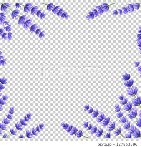 Blue flowers frame a beautiful spring border of blossoms and leaves 127953596