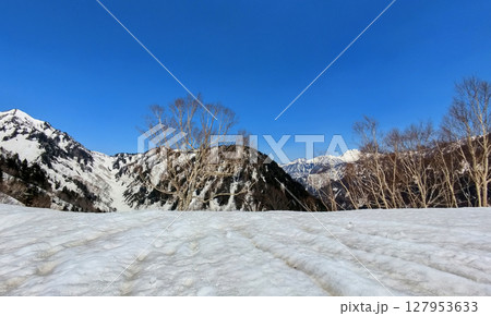 春の観光名所立山黒部アルペンルートの黒部平の雪景色 127953633