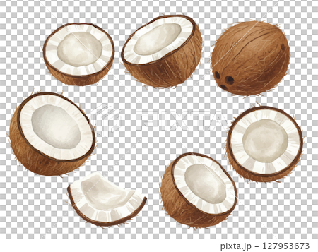 Coconut in watercolor style Coconut in watercolor style 127953673