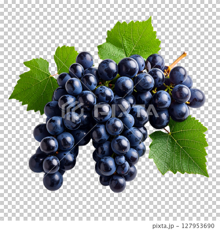 bunch of black grapes 127953690