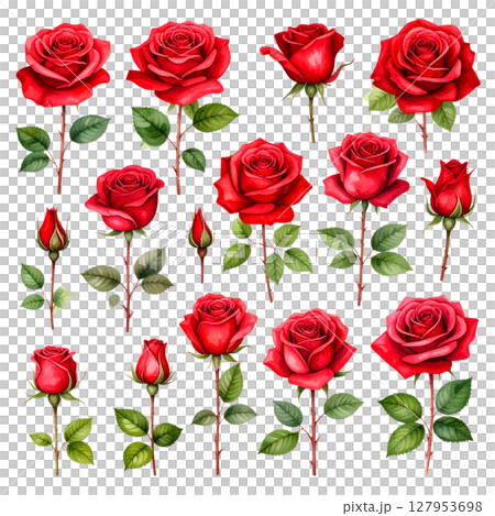 Seamless pattern of beautiful red roses with green leaves on white background. 127953698