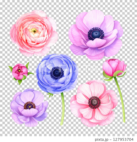 Set of colorful flower illustrations, suitable for floral design on white background. 127953704