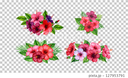Blooming floral rose bouquet design with red and pink petals and green leaves on white Blooming floral rose bouquet design with red and pink petals and green leaves on white 127953791