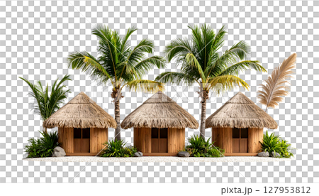 Tropical beach island with green palm trees and coconuts under the sun 127953812