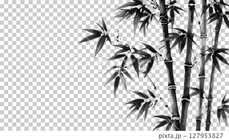 Green bamboo plant with leaves, isolated on white background 127953827