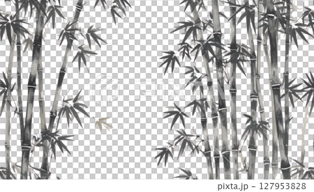 Green bamboo plant with leaves, isolated on white background 127953828