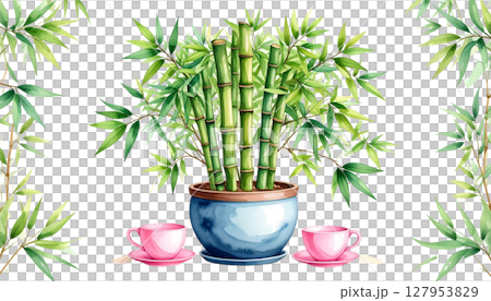 Green bamboo plant with leaves, isolated on white background 127953829