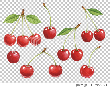 水彩風格的櫻桃 127953971