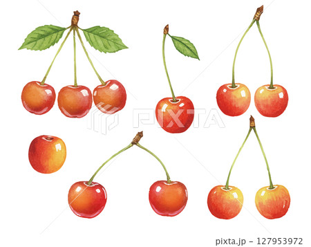 水彩風のさくらんぼ 127953972