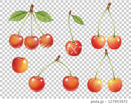 水彩風格的櫻桃 水彩風格的櫻桃 127953972