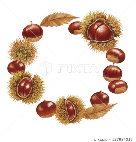水彩風の栗フレーム 水彩風の栗フレーム 127954039