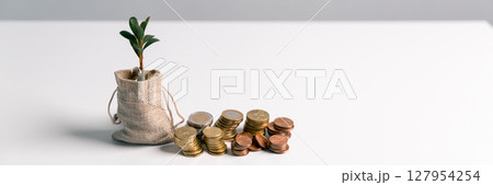 Business concept growth involves strategic financial management money loan investment bank real estate economic development encourage save buy home car education income stack investment economy return 127954254