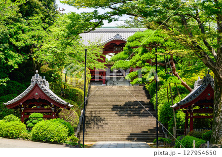 東京都　護国寺（ごこくじ）　不老門 127954650