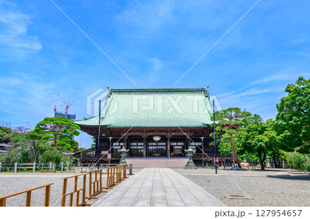 東京都　護国寺（ごこくじ）　観音堂（本堂）　重要文化財 127954657