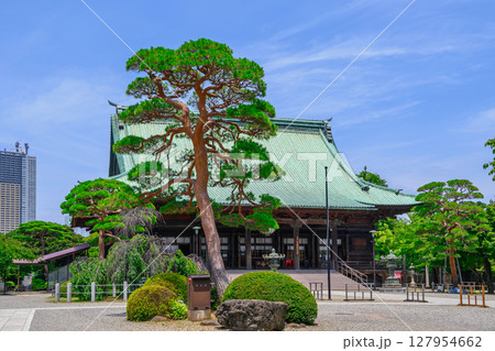 東京都　護国寺（ごこくじ）　観音堂（本堂）　重要文化財 127954662