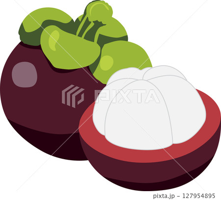 Fresh Mangosteen Whole and Half with White Flesh Isolated on Transparent Background  127954895