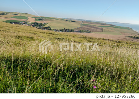 Cap Blanc-Nez, Escalles, Pas-de-Calais, Hauts-de-France, France, July 29th, 2025, Experience the 127955266