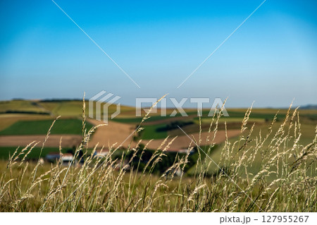 Cap Blanc-Nez, Escalles, Pas-de-Calais, Hauts-de-France, France, July 29th, 2025, A Beautiful and Cap Blanc-Nez, Escalles, Pas-de-Calais, Hauts-de-France, France, July 29th, 2025, A Beautiful and 127955267