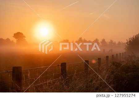 Experience the Serene Sunrise emerging over Misty Fields adorned with Fencing structures 127955274