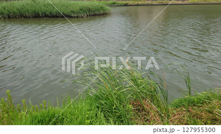 川のある風景 127955300