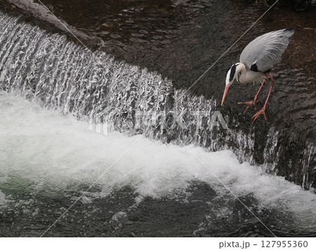 泡音を超えて ― 水流の静寂に身を置く影 127955360