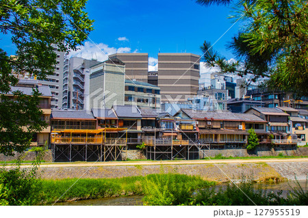 【京都風景】鴨川と先斗町周辺の穏やかな情景 【京都風景】鴨川と先斗町周辺の穏やかな情景 127955519