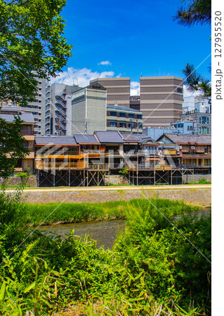 【京都風景】鴨川と先斗町周辺の穏やかな情景 【京都風景】鴨川と先斗町周辺の穏やかな情景 127955520