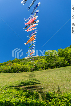 《若宮公園》青空に泳ぐ鯉のぼり（神奈川県厚木市） 127955690