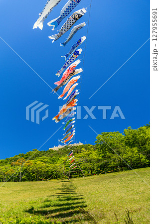 《若宮公園》青空に泳ぐ鯉のぼり（神奈川県厚木市） 127955691