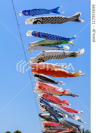 青空を泳ぐ鯉のぼり 青空を泳ぐ鯉のぼり 127955699