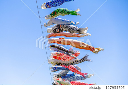 青空を泳ぐ鯉のぼり 127955705