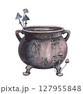 Witch's cauldron with with mushrooms toadstool isolated on white background. Watercolor hand drawn dark fantasy sketch illustration. Art design mystical halloween witch decoration, scary greeting card 127955848
