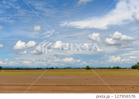 The sky is clear and bright with a few clouds. The sky is clear and bright with a few clouds. 127956576