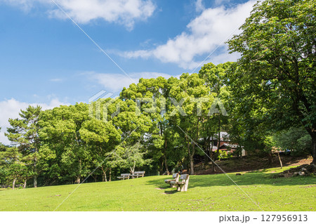 奈良公園　荒池園地 127956913