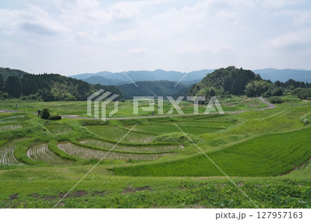 雲南市 山王寺の棚田 雲南市 山王寺の棚田 127957163
