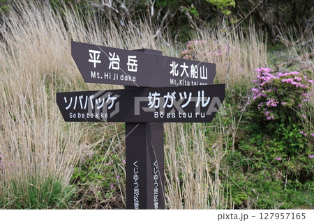 分かれ道に咲くミヤマキリシマ ― くじゅう連山・平治岳登山口の道標 分かれ道に咲くミヤマキリシマ ― くじゅう連山・平治岳登山口の道標 127957165