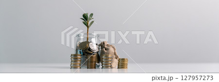 Business concept growth involves strategic financial management money loan investment bank real estate economic development encourage save buy home car education income stack investment economy return 127957273