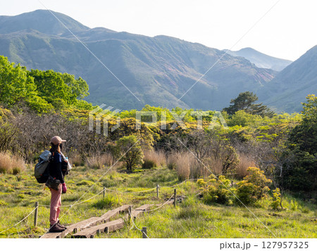 平治岳からの帰路 ― 坊がつるへ向かう登山道 127957325