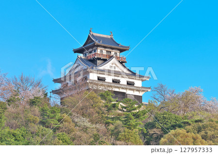 【川之江城】 愛媛県四国中央市川之江町 127957333