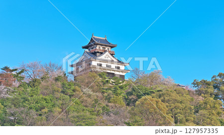 【川之江城】 愛媛県四国中央市川之江町 127957335